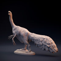 DinD-w004 Therizinosaurus テリジノサウルス