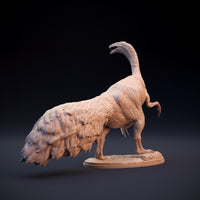 DinD-w004 Therizinosaurus テリジノサウルス