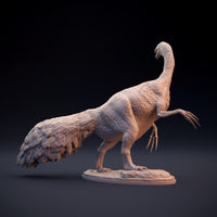 DinD-w004 Therizinosaurus テリジノサウルス