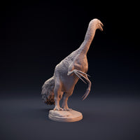 DinD-w004 Therizinosaurus テリジノサウルス