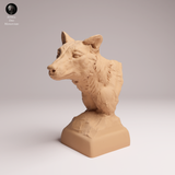 Anml-260408 Thylacine bust（フクロオオカミ）