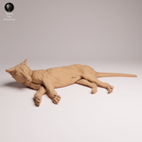 Anml-260409 Thylacine lying（フクロオオカミ）