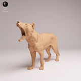Anml-260410 Thylacine yawn（フクロオオカミ）