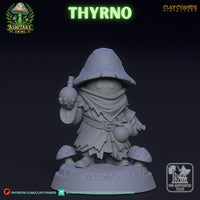 Ccm-250611 Mushroom Thyrno