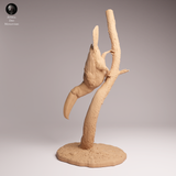 Anml-251107 Toco Toucan（オニオオハシ）