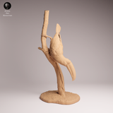 Anml-251107 Toco Toucan（オニオオハシ）