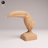 Anml-251108 Toco Toucan Bust（オニオオハシ）