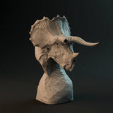 DinD-230103 triceratops bust