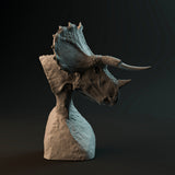 DinD-230103 triceratops bust