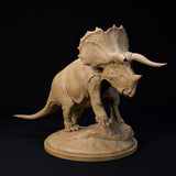 DinD-240818 Trieratops old bull 32mm