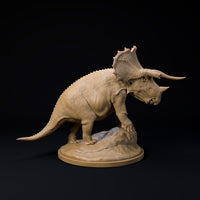 DinD-240818 Trieratops old bull 32mm