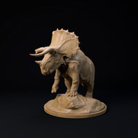 DinD-240818 Trieratops old bull 32mm