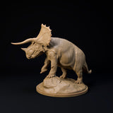 DinD-240818 Trieratops old bull 32mm