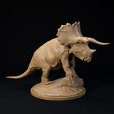 DinD-240818 Trieratops old bull 32mm