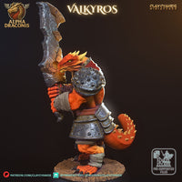 Ccm-250407 Valkyros