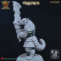 Ccm-250407 Valkyros