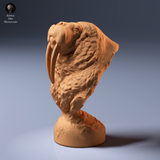 Anml-260907 Walrus Bust（セイウチ）