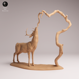 Anml-260112 White-tailed deer feed（オジロジカ）