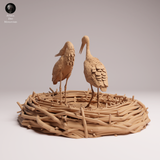 Anml-260704 White Stork Courting（シュバシコウ）