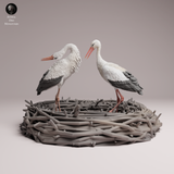Anml-260704 White Stork Courting（シュバシコウ）