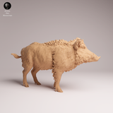 Anml-260706 Wild Boar（イノシシ）