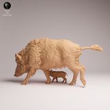 Anml-260708 Wild Boar sow and piglet（イノシシ）