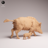 Anml-260708 Wild Boar sow and piglet（イノシシ）