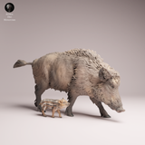 Anml-260708 Wild Boar sow and piglet（イノシシ）
