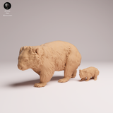 Anml-260502 Common Wombat and joey（ウォンバット）