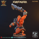 Ccm-250408 Xarvokhan
