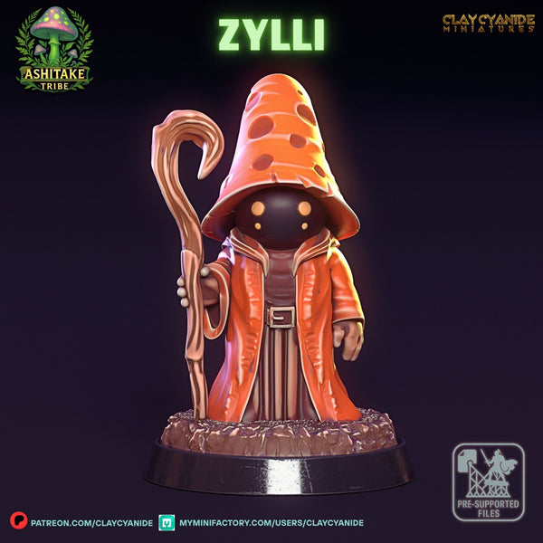 Ccm-250613 Mushroom Zylli