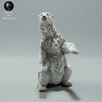 Anml-230110 Polar Bear Sit