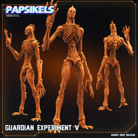 Pap-230303 guardian experiment v