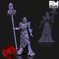 RM-tempm044 Frost Elf Mage