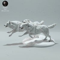 Anml-230103 Arctic Wolves Run