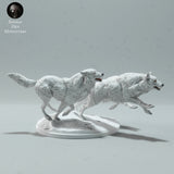 Anml-230103 Arctic Wolves Run