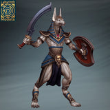 Laby-221101 Anubis Warrior1