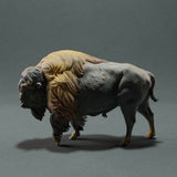 Anml-221005 American Bison