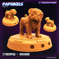 pap-2202c14 CYBERPUG BRANDO