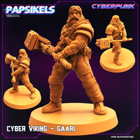 pap-c220306 CYBER_VIKING_GAARL