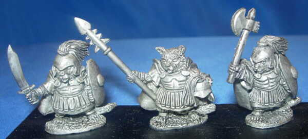 DRRE13 Wildcat Warlords(3)