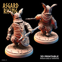 ar-220601 Dwarf in Full Plate armor01