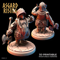 ar-220603 Dwarf in Full Plate armor03