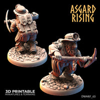 ar-220814 Dwarf 65 Miner