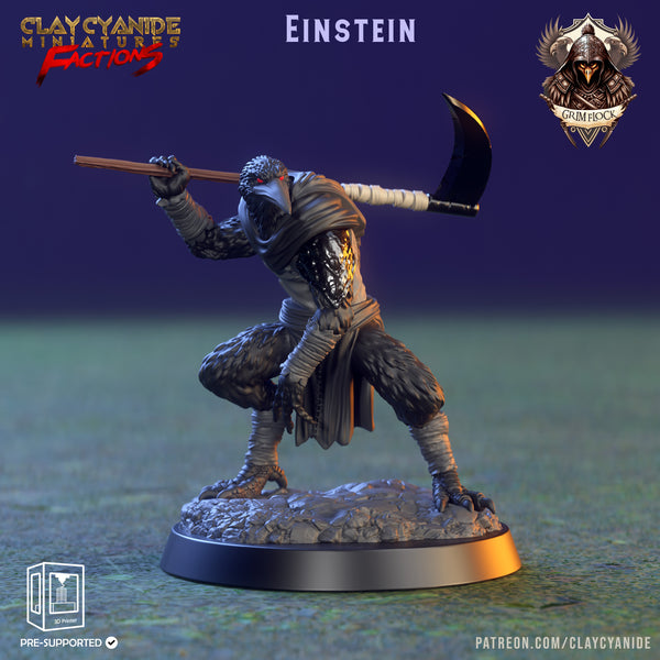 ccm-2301f04 Einstein