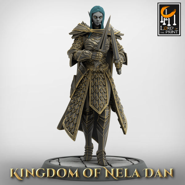 Lop-230115 Elf Soldier DualDagger Walk