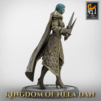 Lop-230115 Elf Soldier DualDagger Walk