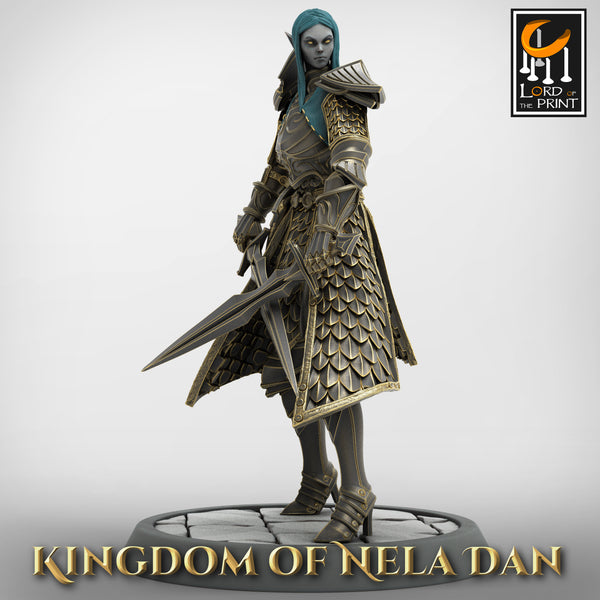 Lop-230116 Elf Soldier DualSword Low