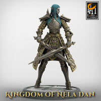 Lop-230116 Elf Soldier DualSword Low