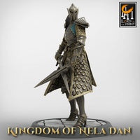 Lop-230116 Elf Soldier DualSword Low